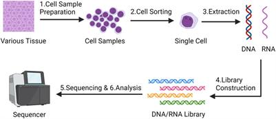 Application progress of single-cell sequencing technology in mesenchymal stem cells research